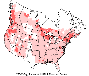 USGS Hairy Woodpecker Range Map USGS map shows hairy woodpeckers inhabit forests, groves and parks throughout most of North America wherever there are trees.