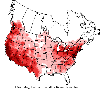 House finches range throughout most of the US and parts of Canada and Mexico.