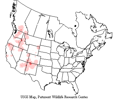 USGS map shows Lewis's woodpeckers range in forested mountains in western US and southwestern Canada.