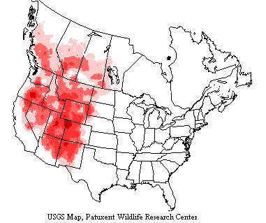 Mountain bluebirds generally inhabit western US and Canada.
