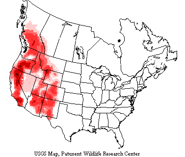 USGS Mountain Chickadee Range Map Range map shows mountain chickadees range from New Mexico, Arizona, California and Baja to Montana, Idaho, Washington, and British Columbia.