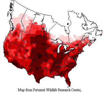 USGS Mourning Dove Range Map USGS map shows mourning doves range throughout the US and Canada and beyond up to the northern tree line.