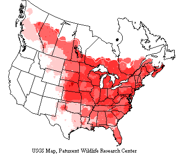 USGS map shows flickers range in Alaska, most of Canada and the States east of the Rocky Mountain's eastern slopes and to Central America.