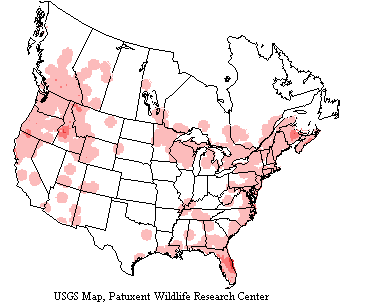 USGS Osprey Range Map Four Osprey subspecies range nearly worldwide. P. h. carolinensis inhabits inland waters and coast lands in North America.