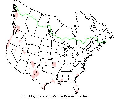 North American peregrine falcons range from Greenland south through Canada and Alaska, into the continental United States, through Mexico, and into South America.