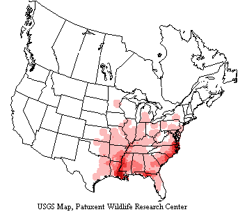 USGS Prothonotary Warbler Breeding Survey Map USGS range map shows prothonotary warblers breed in the eastern US around and south of the Great Lakes to the East Coast, Texas and Florida.