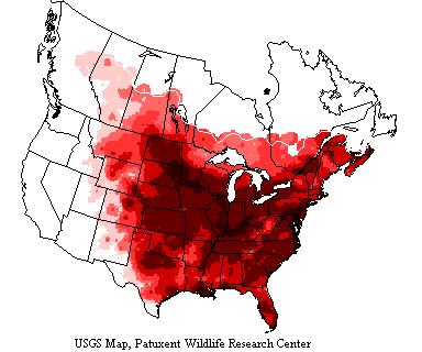 USGS map shows common grackles inhabit North America east of a general line from New Mexico to northern British Columbia.