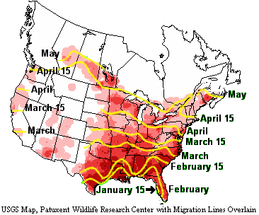 Purple Martin Return Migration Map Map depicts North American latitudes to which purple martins return and their approximate dates.