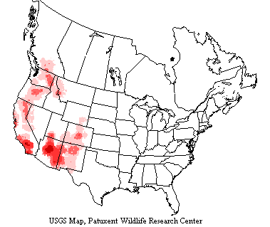 Pygmy Nuthatch Breeding Survey Map USGS range map shows pygmy nuthatches live in western US mountains and coastal regions.