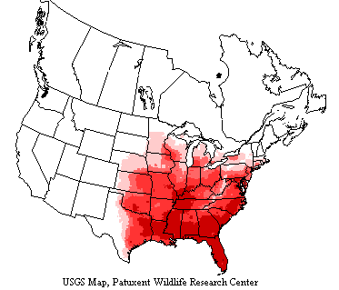 USGS map shows red-bellied Woodpeckers generally range in the eastern half of the US.