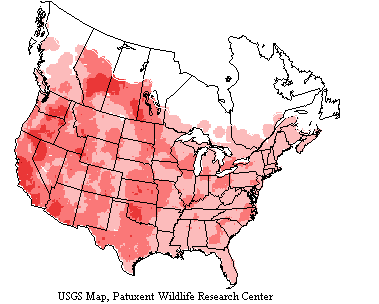 USGS Red-tailed Hawk Range Map USGS map shows red-tailed hawks inhabit Canada and Alaska as far north as there are trees, throughout the lower 48 states.