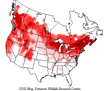 USGS Tree Swallow Range Map USGS map shows tree swallows breed throughout most of North America from California to northern Alaska across Canada and excepting in far southern US