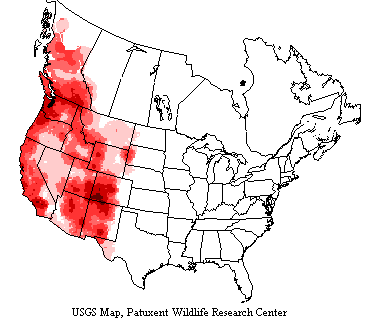 USGS map shows violet-green swallows inhabit western US and Canada.