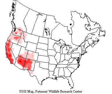 USGS map shows western bluebirds range among western costal states and southern British Columbia, Utah, Colorado, Arizona and New Mexico.