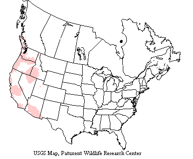USGS map shows western screech owls range from southeast Alaska, western Canada and the U.S. west of the Great Plains to Mexico.