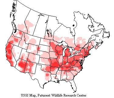 USGS White-breasted Nuthatch Range Map Map shows white-breasted nuthatches inhabit most areas (not all) throughout the US and southern Canada