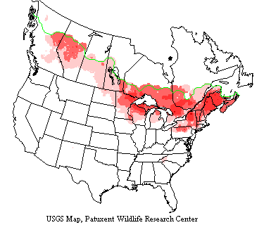 USGS map shows yellow-bellied sapsuckers range across Canada, the Great Lakes Region to Newfoundland.